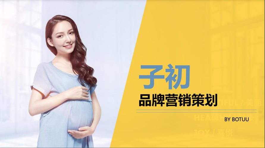 子初母婴待产包产品品牌营销策划方案