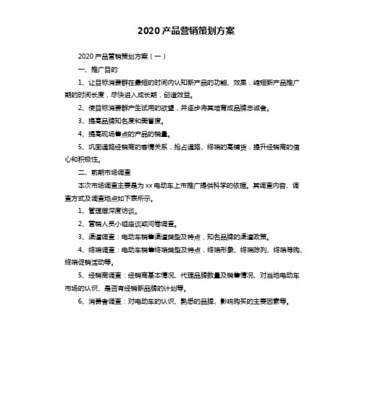 2020年简洁的营销策划方案范文